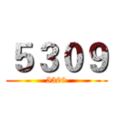 ５３０９ (5309)
