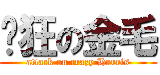 疯狂の金毛 (attack on crazy Harris)