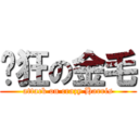 疯狂の金毛 (attack on crazy Harris)