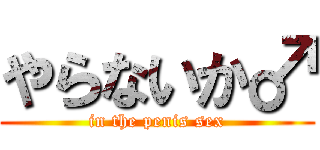 やらないか♂ (in the penis sex)