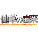 仙草の由來 (Mesona chinensis's history)