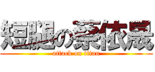短腿の蔡依晟 (attack on titan)