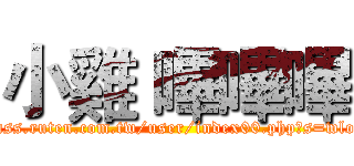 小雞 嗶嗶嗶 (http://class.ruten.com.tw/user/index00.php?s=wlo9954832)