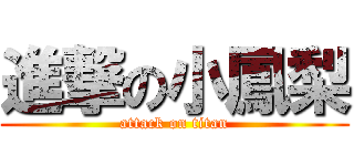 進撃の小鳳梨 (attack on titan)