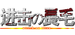 进击の長毛 (attack on titan)