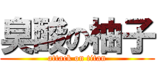 臭酸の柚子 (attack on titan)