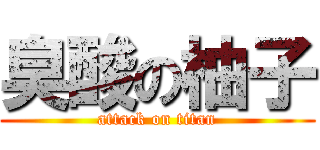 臭酸の柚子 (attack on titan)
