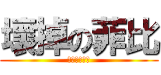 壞掉の菲比 (永遠修不好了)