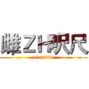 雌ＺＨ呎尺 (4164646)