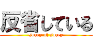 反省している (sorry of sorry)