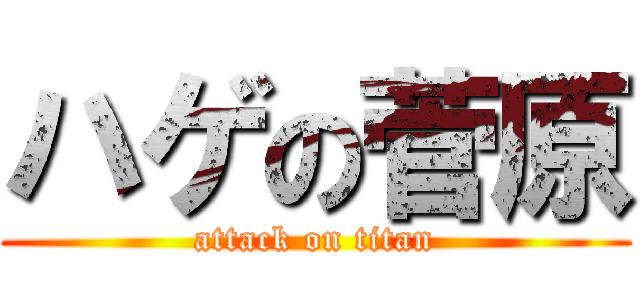 ハゲの菅原 (attack on titan)