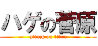 ハゲの菅原 (attack on titan)