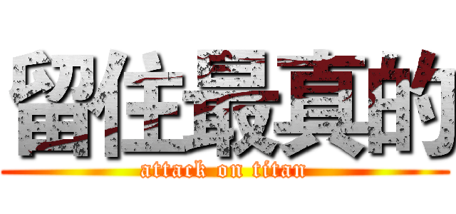 留住最真的 (attack on titan)