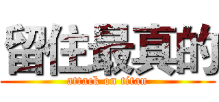留住最真的 (attack on titan)