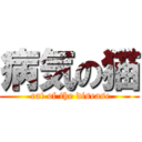 病気の猫 ( cat of the disease)