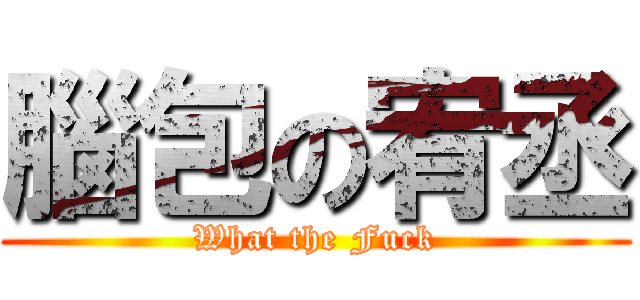 腦包の宥丞 (What the Fuck)