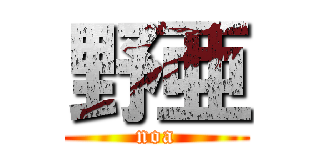 野亜 (noa)