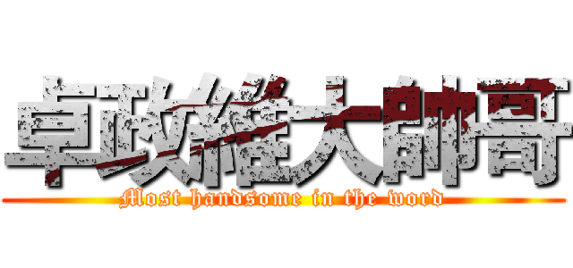 卓政維大帥哥 (Most handsome in the word)