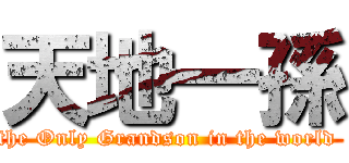 天地一孫 (the Only Grandson in the world )