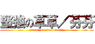 堅強の草草／芬芬 (From your dear family)