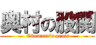 奥村の股関 ( Okumura\'s penis)