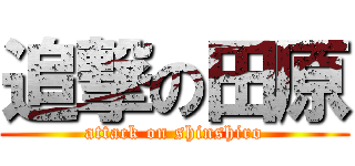 追撃の田原 (attack on shinshiro)