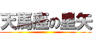 天馬座の星矢 ()