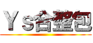 Ｙｓ合整包 ()