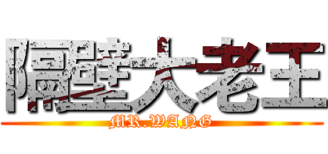 隔壁大老王 (MR.WANG)