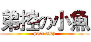 弟控の小魚 (poor fish)