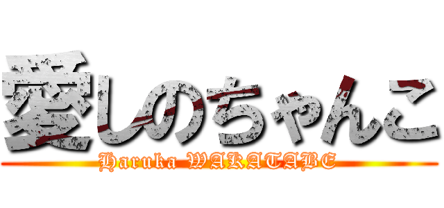 愛しのちゃんこ (Haruka WAKATABE)