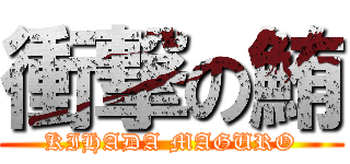 衝撃の鮪 (KIHADA MAGURO)