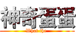 神奇蛋蛋 (What the )