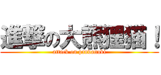 進撃の大熊狸猫！ (attack on pandanuki)