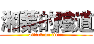 湘蓁的陰道 (attack on titan)