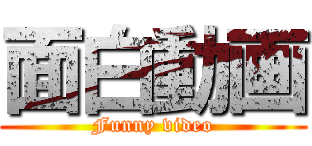 面白動画 (Funny video)