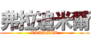 弗拉迪米爾 (VLADMIR)