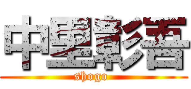 中里彰吾 (shogo )