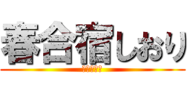 春合宿しおり (ゼミ論構想)
