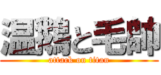 温鵝と毛帥 (attack on titan)