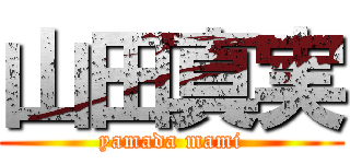 山田真実 (yamada mami)