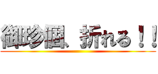 御珍個、折れる！！ ()