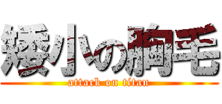 矮小の胸毛 (attack on titan)