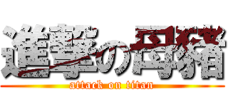 進撃の母豬 (attack on titan)
