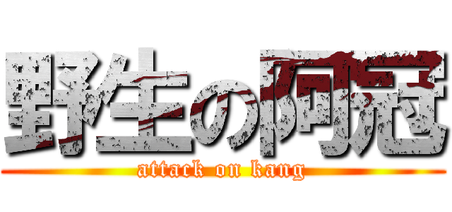 野生の阿冠 (attack on kang)