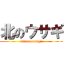 北のウサギ (kitano usagi)