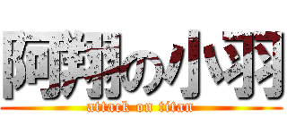 阿翔の小羽 (attack on titan)