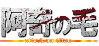 阿奇の毛 (attack on titan)