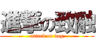 進撃の致融 (attack on dog)