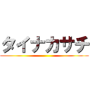 タイナカサチ ()